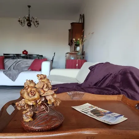 Apartment Rotundaparkhouse